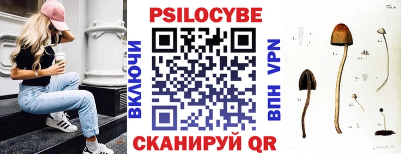 blacksprut tor  Арсеньев  Псилоцибиновые грибы ЛСД 
